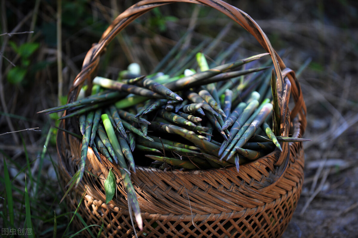 腊肉野生笋,高山野生嫩笋腊肉