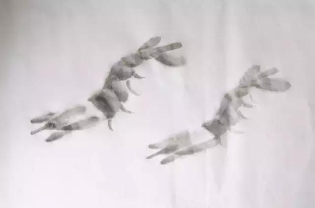 墨龙画法教程简单毛笔,河虾简笔画教程