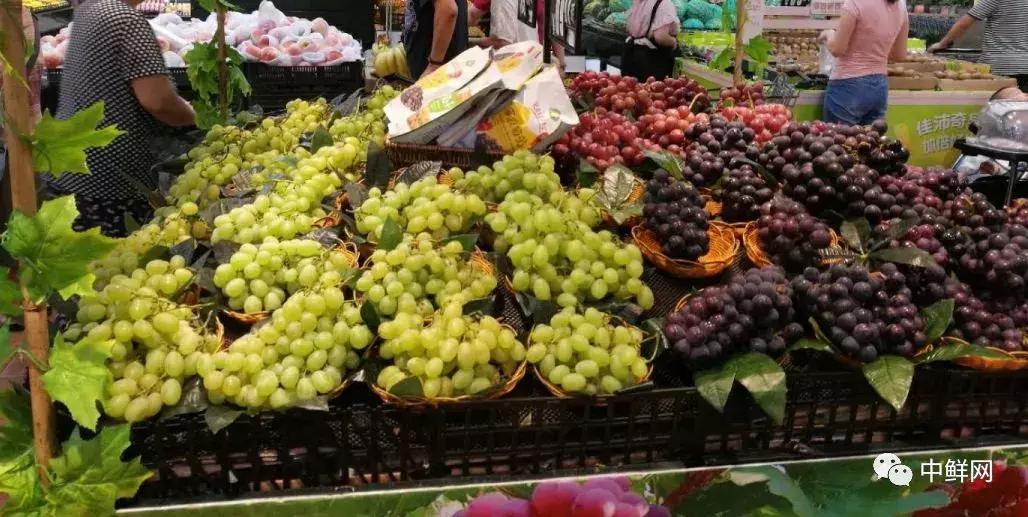 水果生飞虫难治？防治果蝇的实用方法