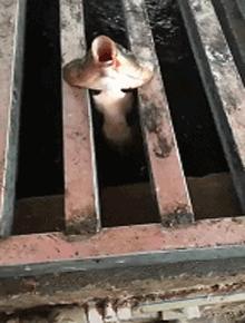 最倒霉的100个瞬间视频,35个最倒霉的瞬间