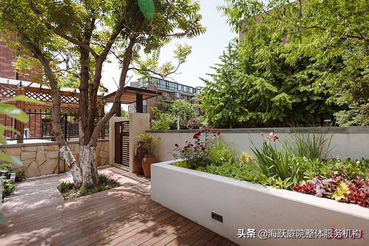 怎样建造自己的院子美观,庭院种植区该怎么设计