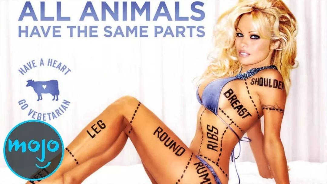 女权，LGBT，黑人，政治正确的江湖中，谁才是王者？