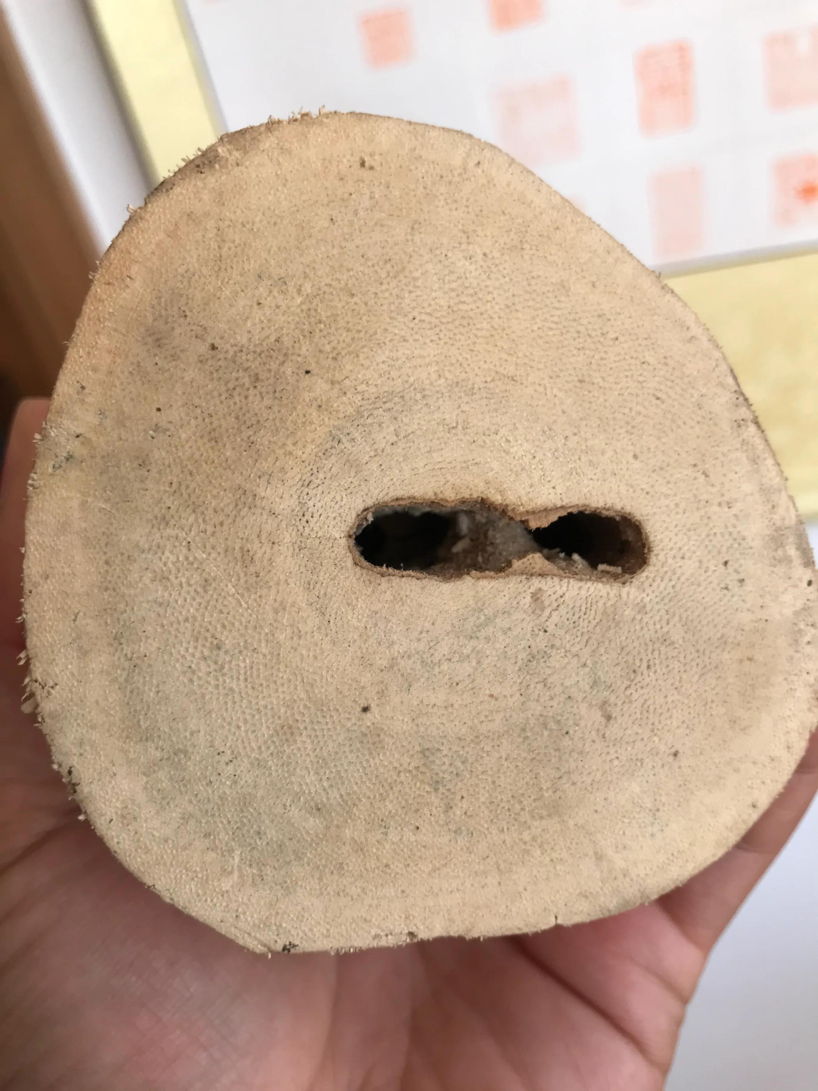 怎么简单科普沉香,初学者看沉香的门道