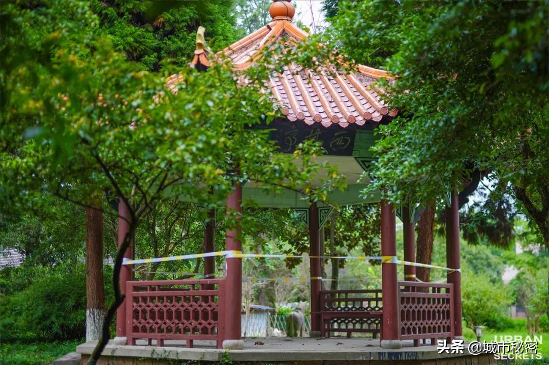 杭州小学名师诞生地（上）