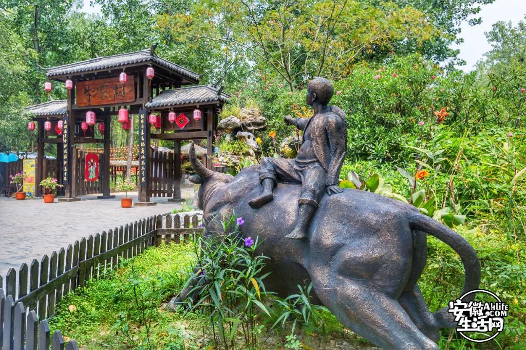 合肥最美的春天景点,合肥春天有哪些好玩的景点