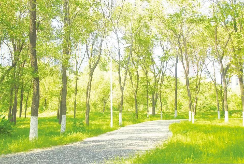 沈阳于洪新城明年有什么规划,沈阳于洪新城有什么规划