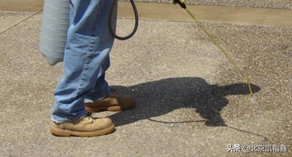 发泡水泥凝固效果,水泥发泡剂使用视频