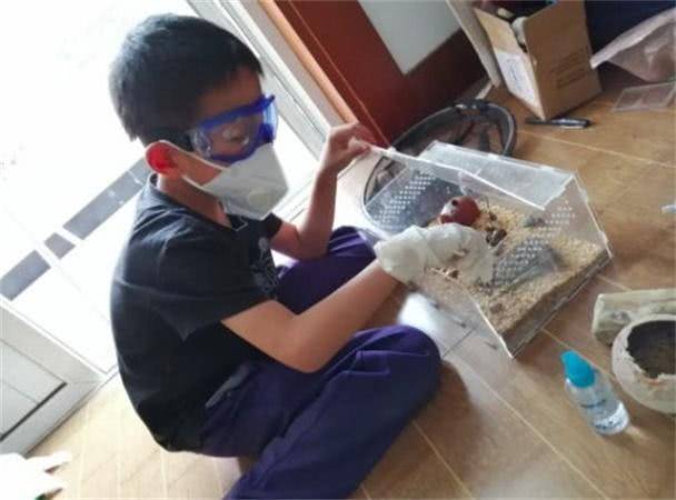 深夜,妈妈被窝惊现“千足虫”,原来竟是6岁儿子有这嗜好