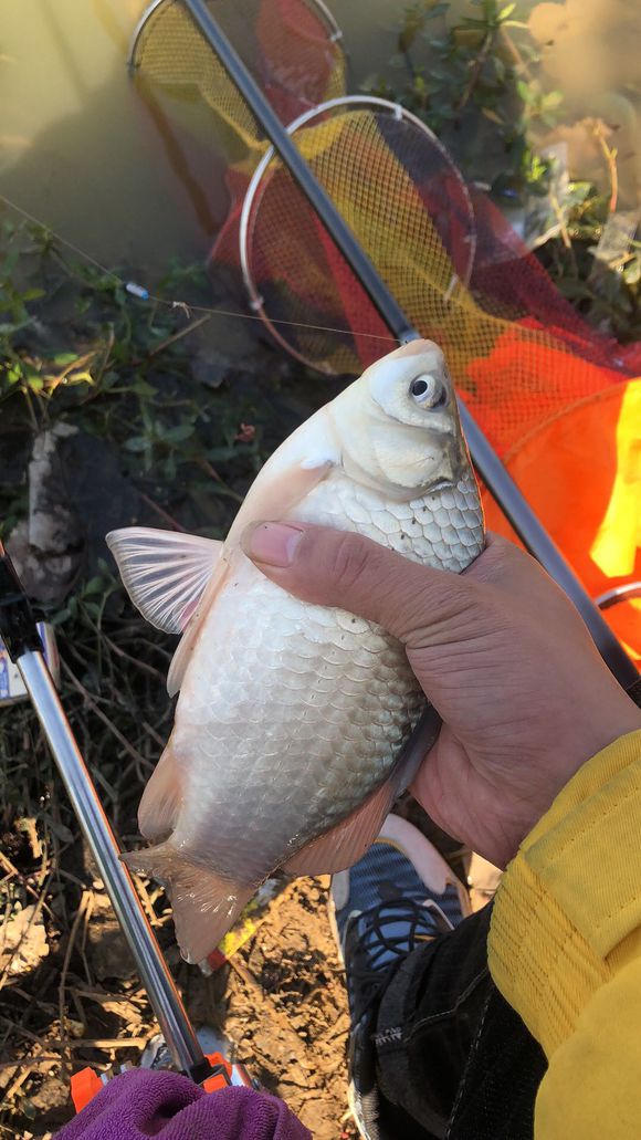 水底结构对钓鱼的影响,风向对渔获的影响