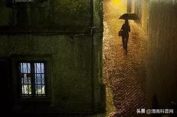 贾平凹：我曾深恋过一个姑娘