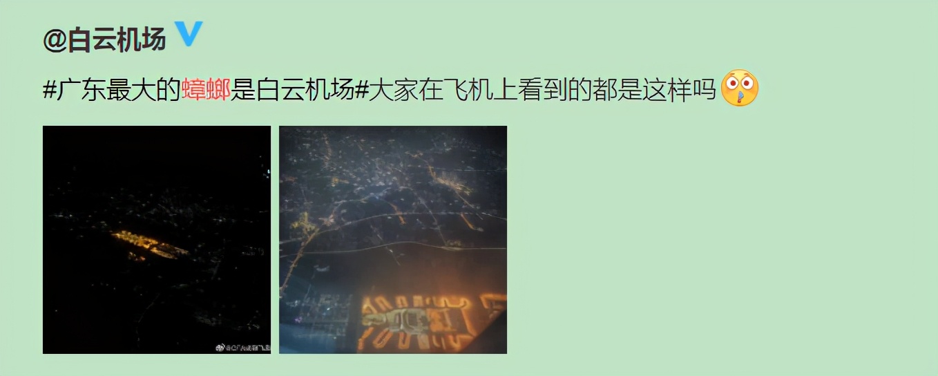 南方蟑螂和北方蟑螂对比恶搞,南方大蟑螂吓哭北方人