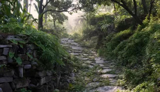 焦作大山深处的景点,焦作古村攻略