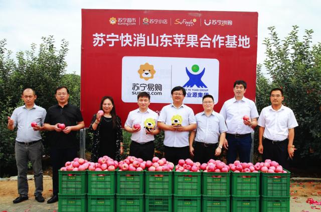 生鲜平台水果供应链如何运作,生鲜电商供应链运作