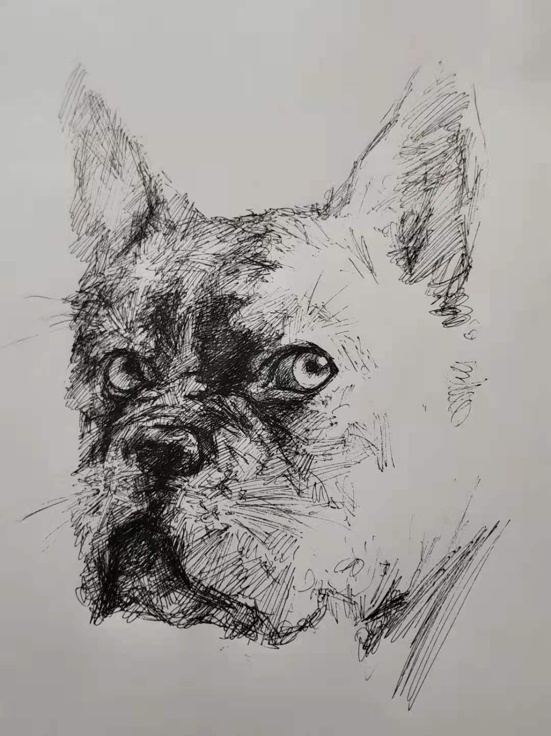 幸福原创画吧,幸福画吧画友作品展示