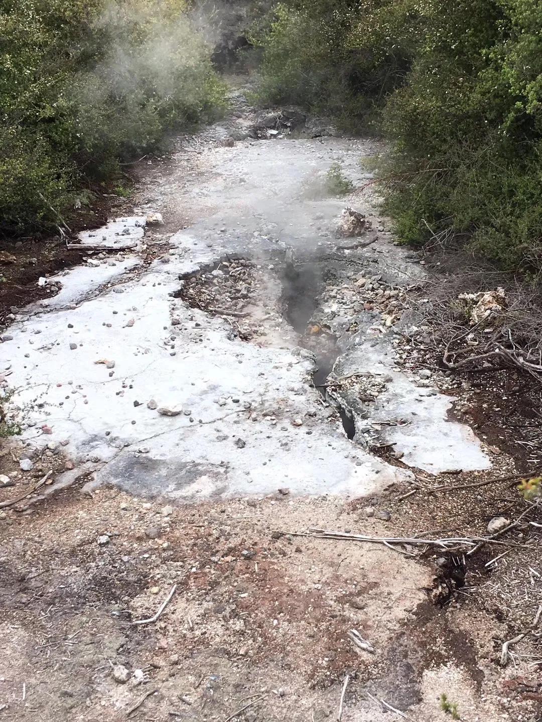 记忆中的旅行之新西兰(北岛)