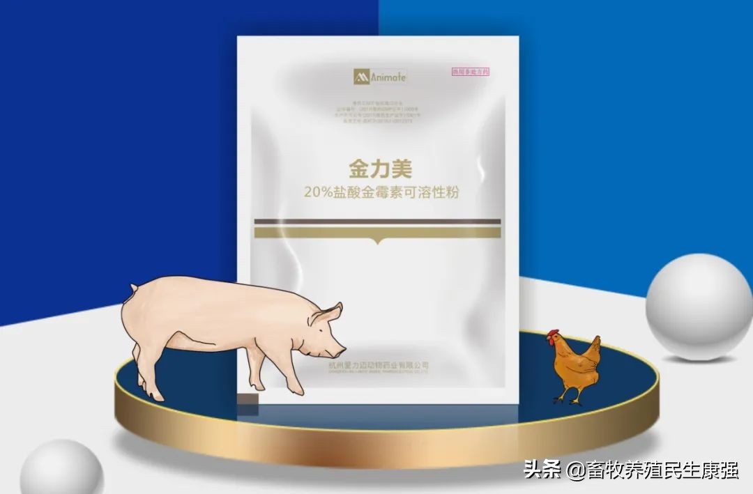 「新品上市」金力美:20%盐酸金霉素可溶性粉