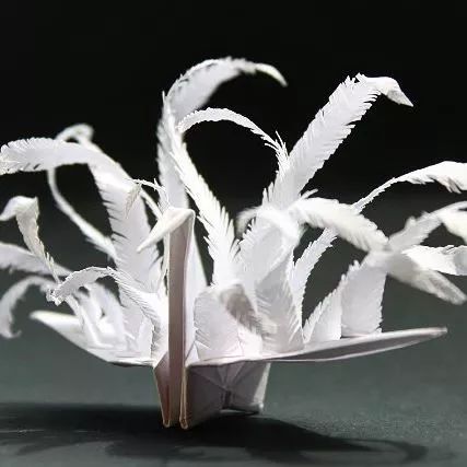 1000天1000只纸鹤，他折的纸鹤让自己走出抑郁……