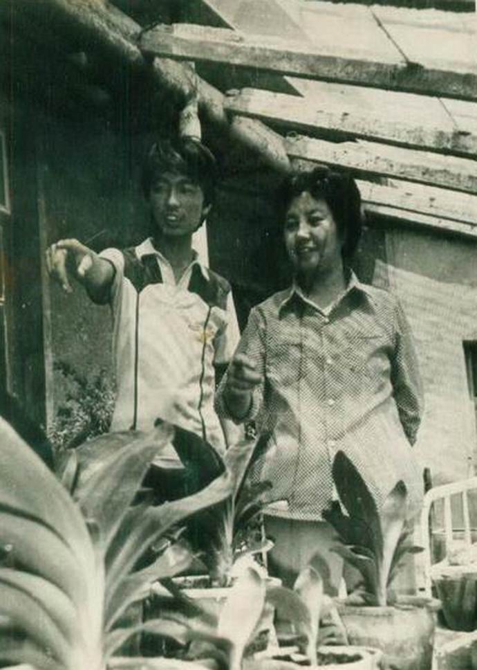 东北君子兰炒作事件,八十年代炒作君子兰