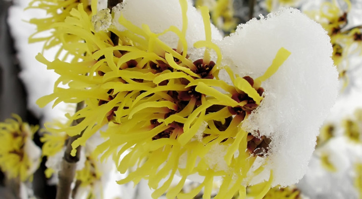 产后痔疮严重怎么办,产后痔疮犯了怎么快速止疼