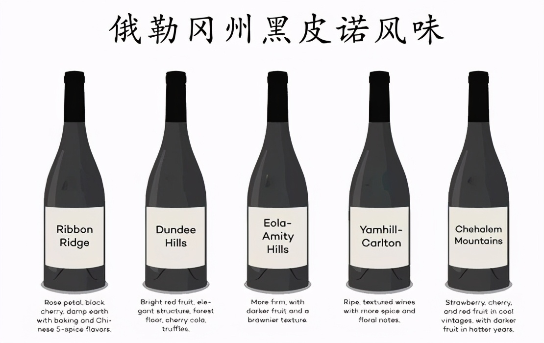 舌尖上的乡愁红酒,5个步骤教你正确品尝一款红酒