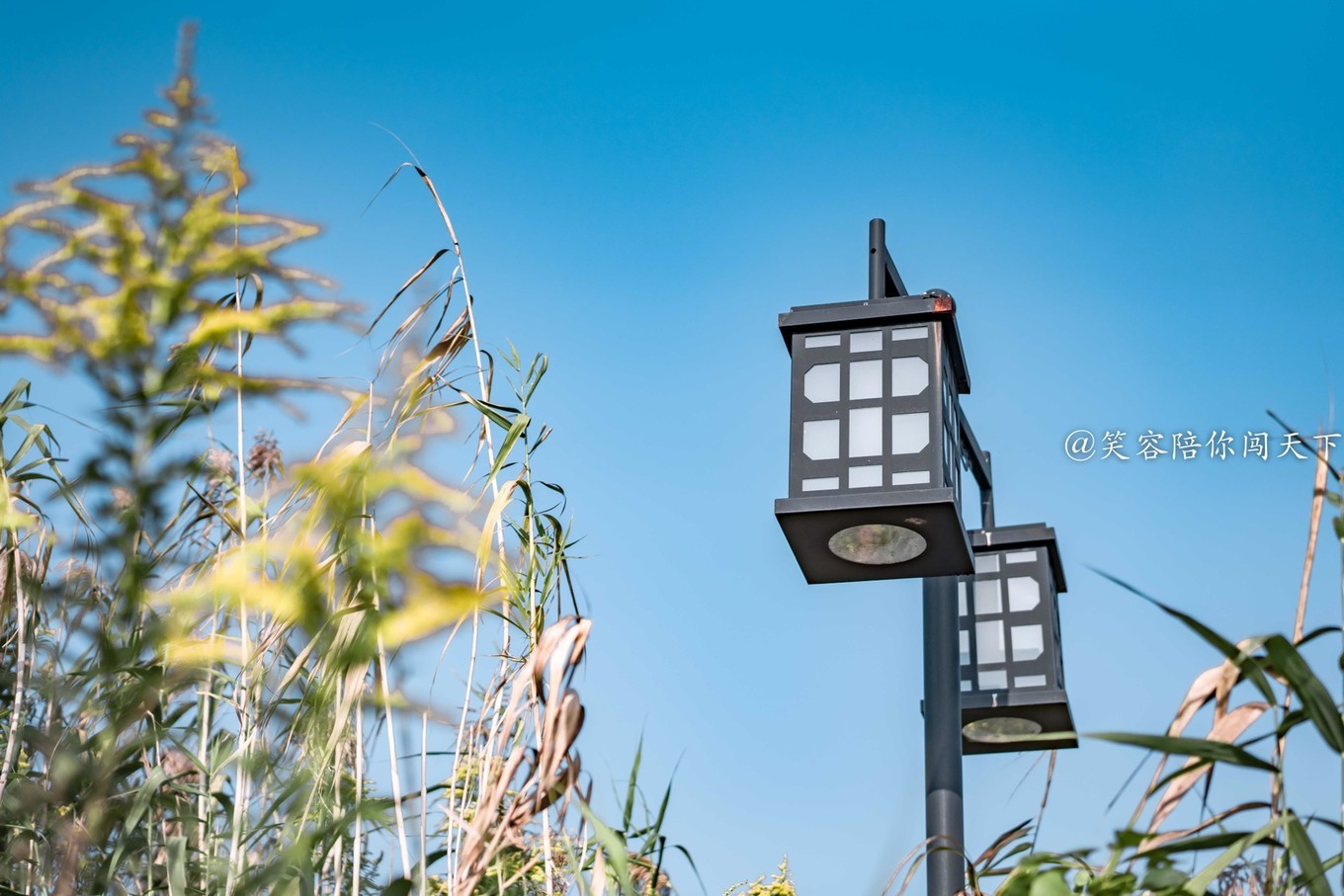 江南小众古镇视频,江南水乡小众又出名