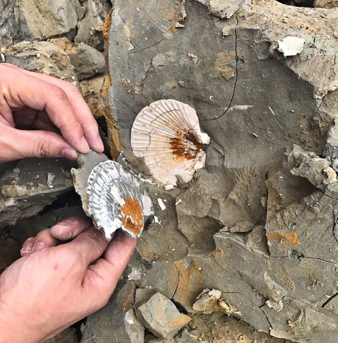 为什么你的痘印总是消不下去,为什么你的祛斑效果不理想