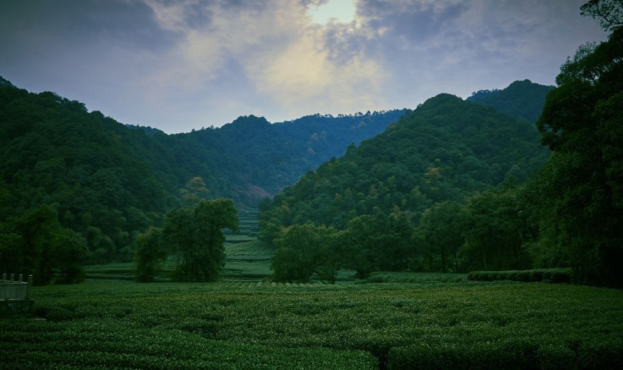 亲测旅游攻略,旅游团游西湖攻略线路地图
