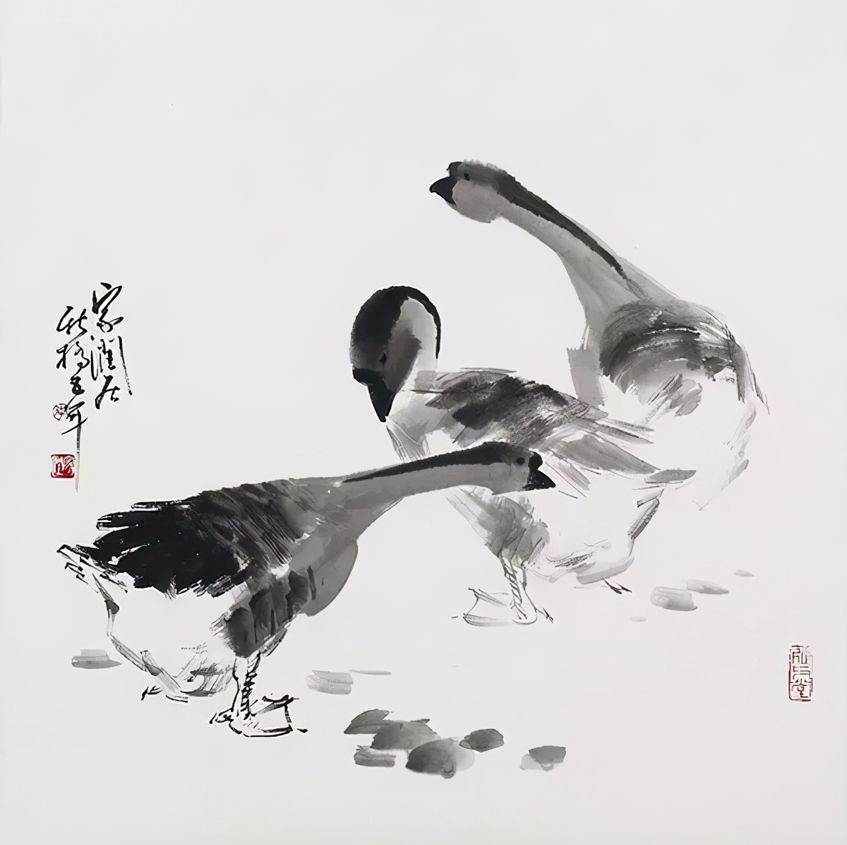 写意鹅国画图片,朱雪娥国画100幅