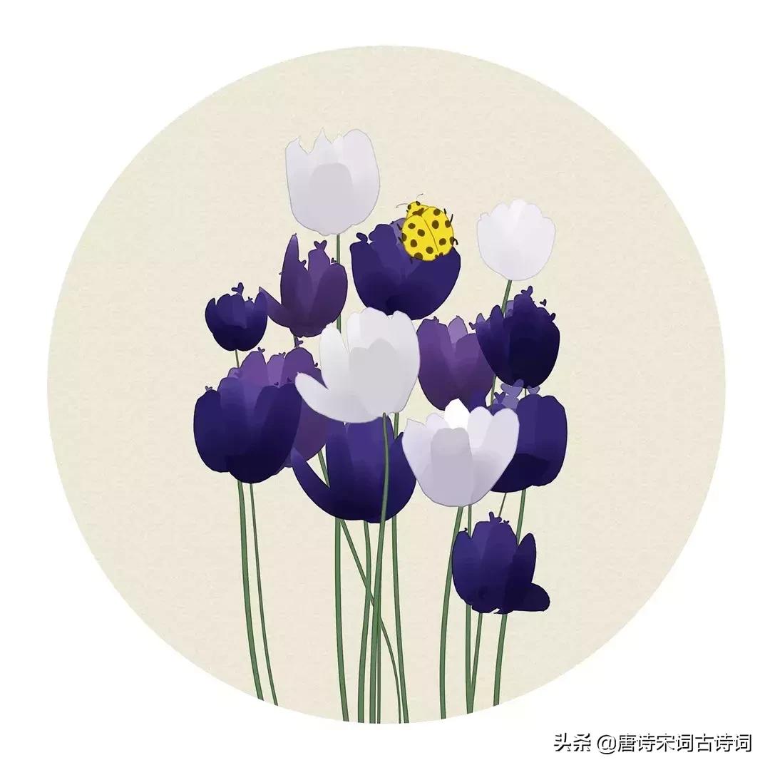 100首关于夏天的唯美古诗词,100首夏日古诗词