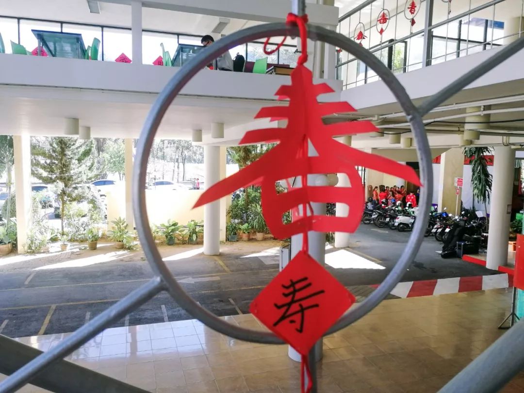 清迈的现状,清迈重逢