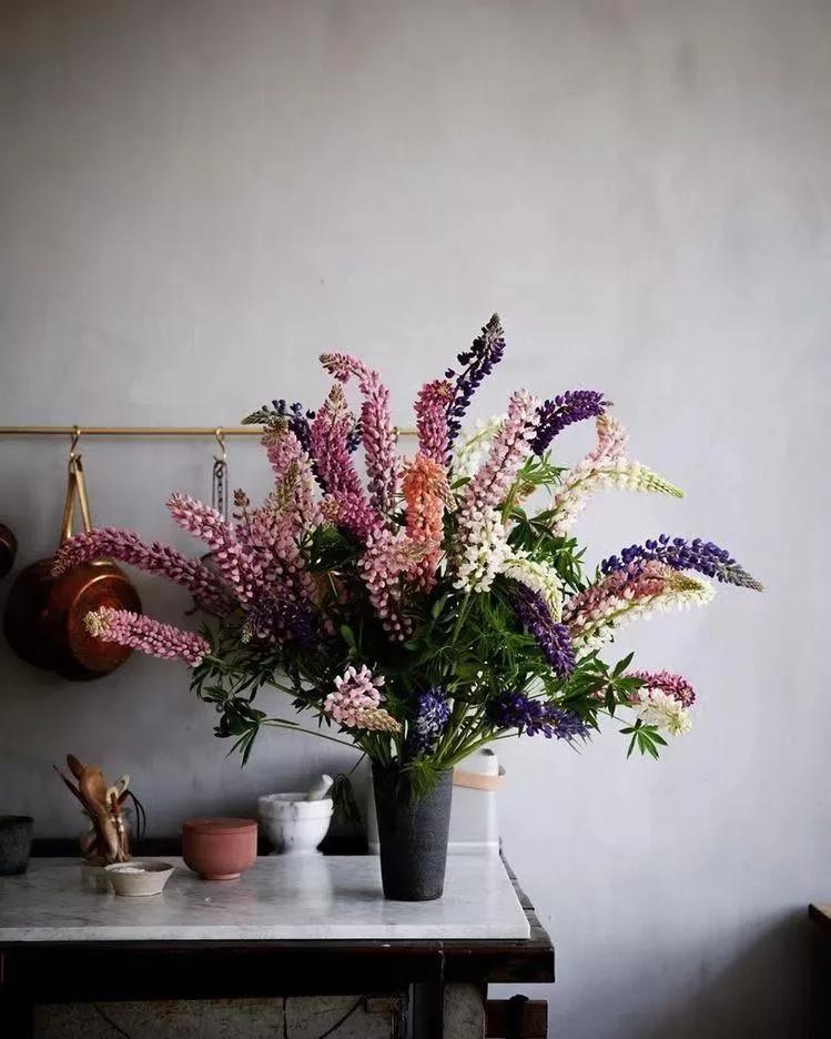 纯小白买花攻略,小白买股实操