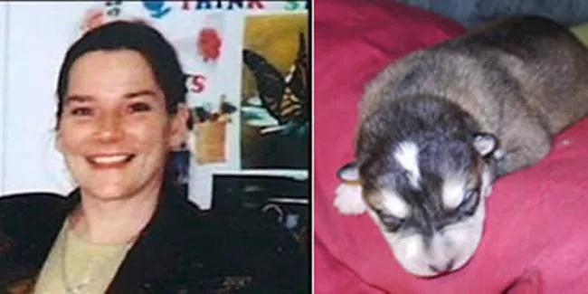 杀害人类的10种食物,盘点十大难以杀死的动物