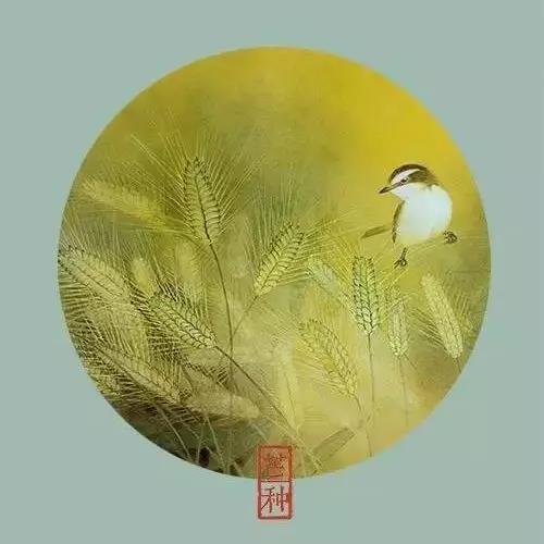 芒种后吃什么养生,芒种养生常识图文