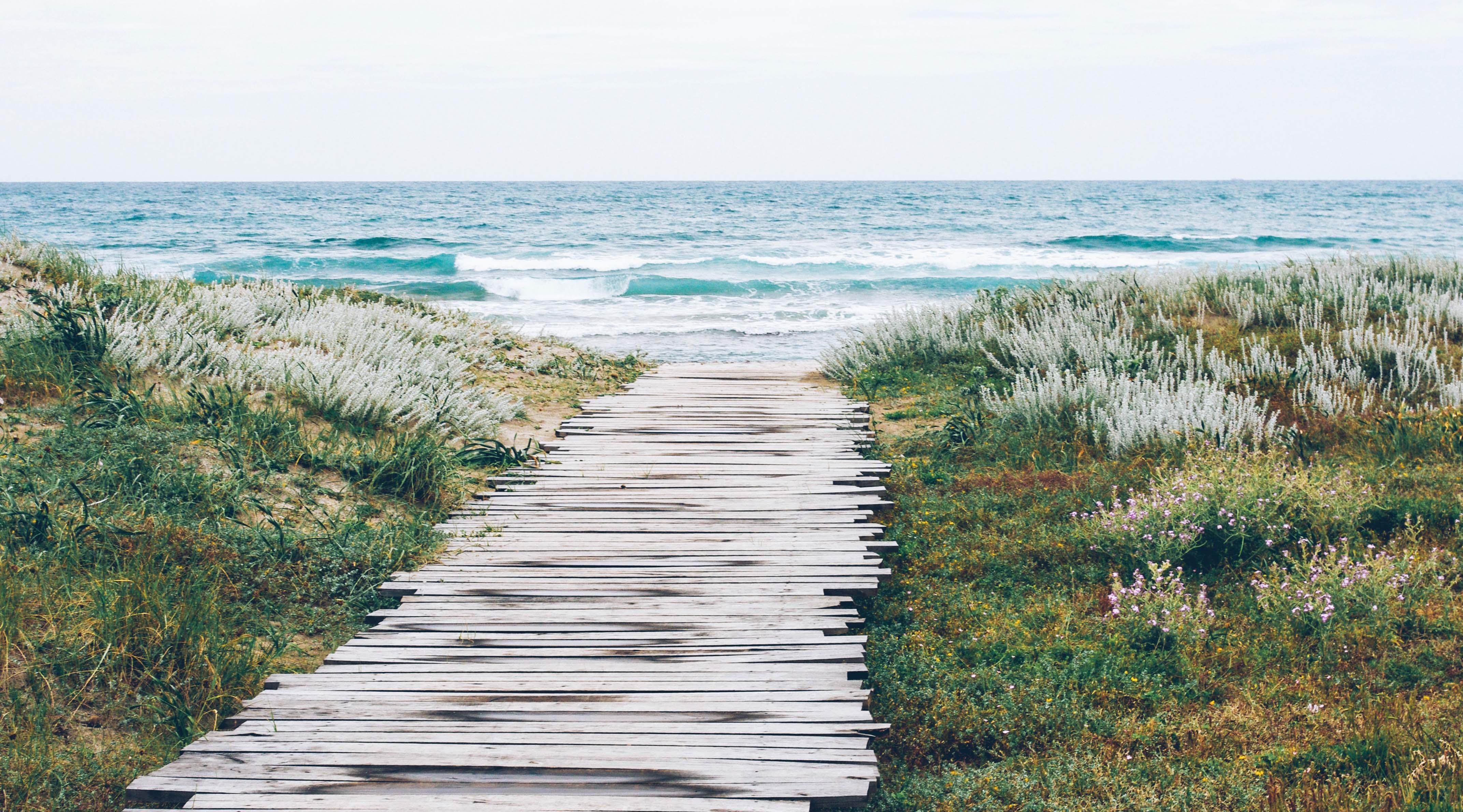 if的运用技巧,if的使用方法及技巧