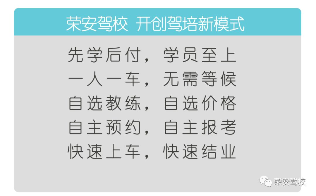 这里有一片森林,这里有一片净土
