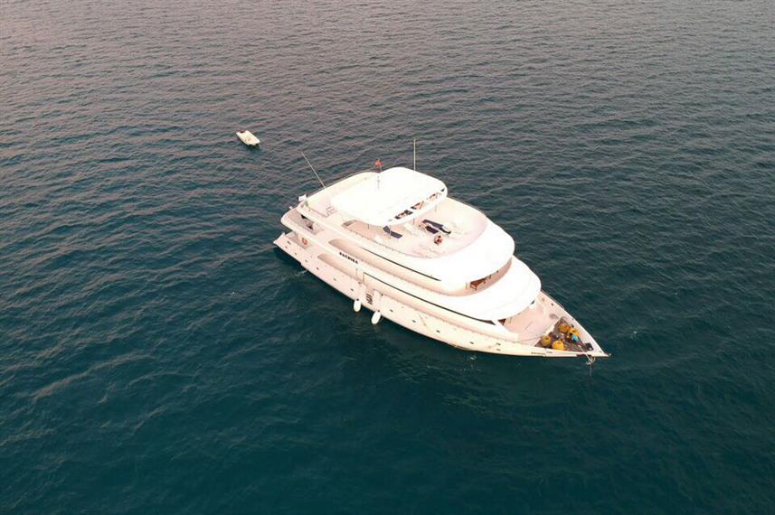 船宿潜水到底是什么,潜水新手能去船宿吗