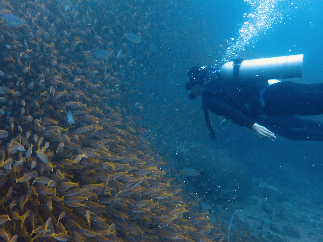 泰国曼谷自由行带食物攻略,泰国曼谷吃饭攻略
