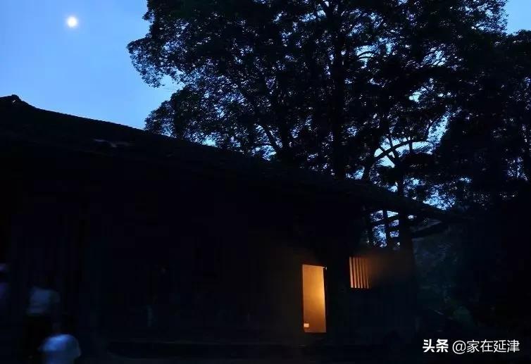 故事:延津故事:菊花泪