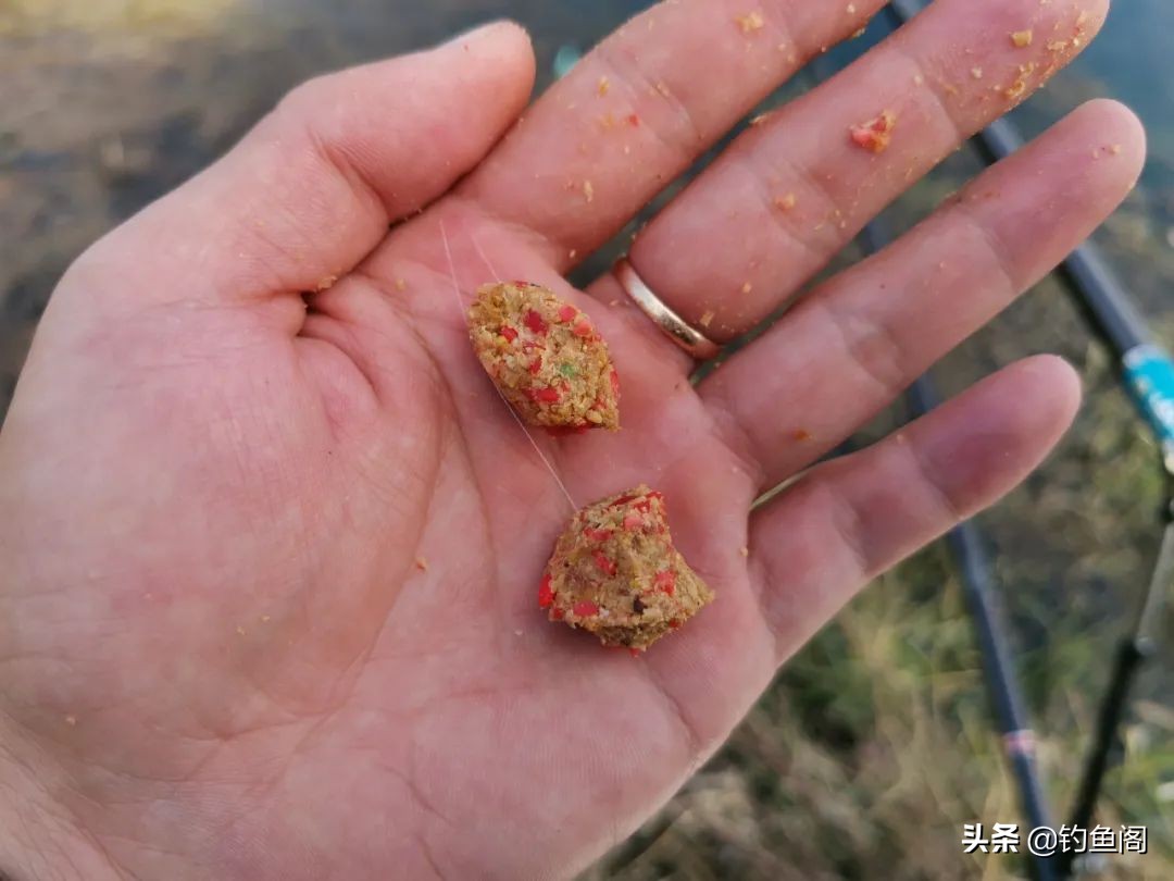 立秋以后钓鲫鱼,加这两种饵效果更好,何愁不上大板鲫