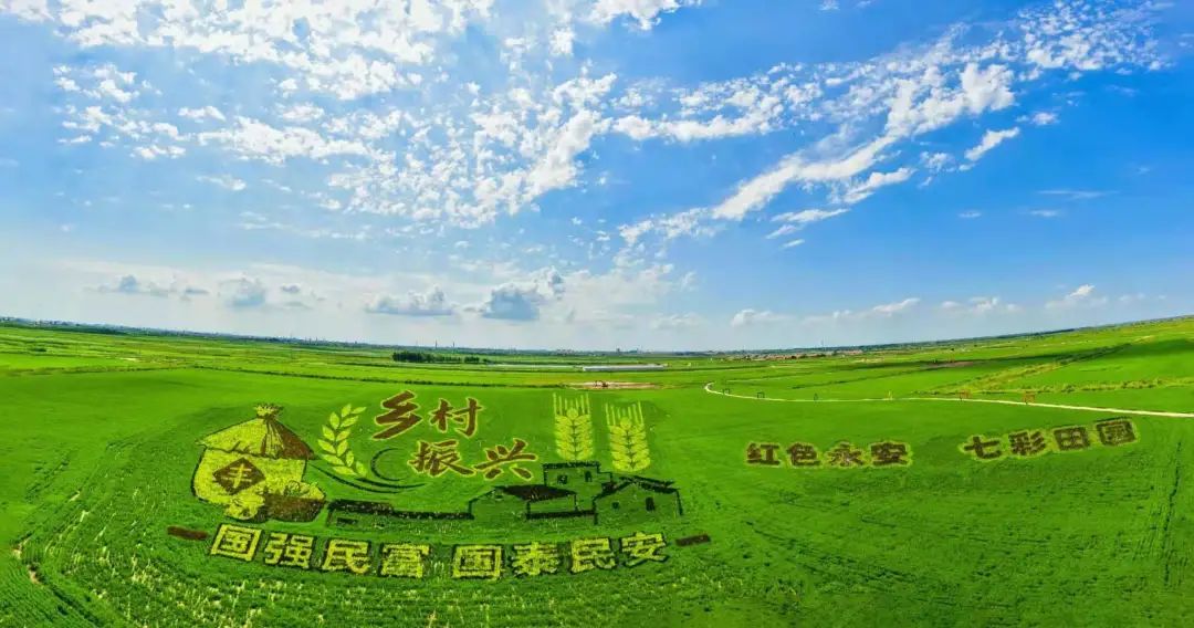 山东东营位置,这就是东营