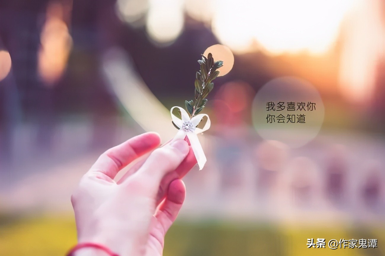 遥远的岛屿全集,遥远的岛屿电影