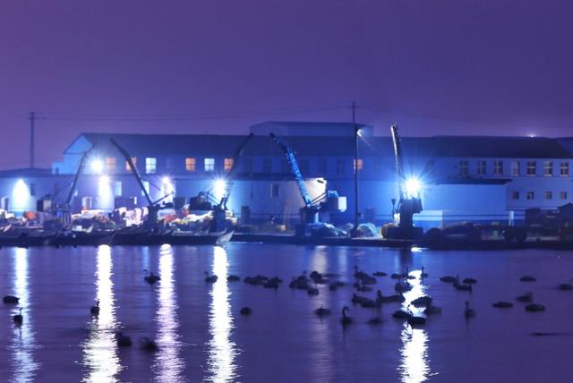 从宿州出发与天鹅相约