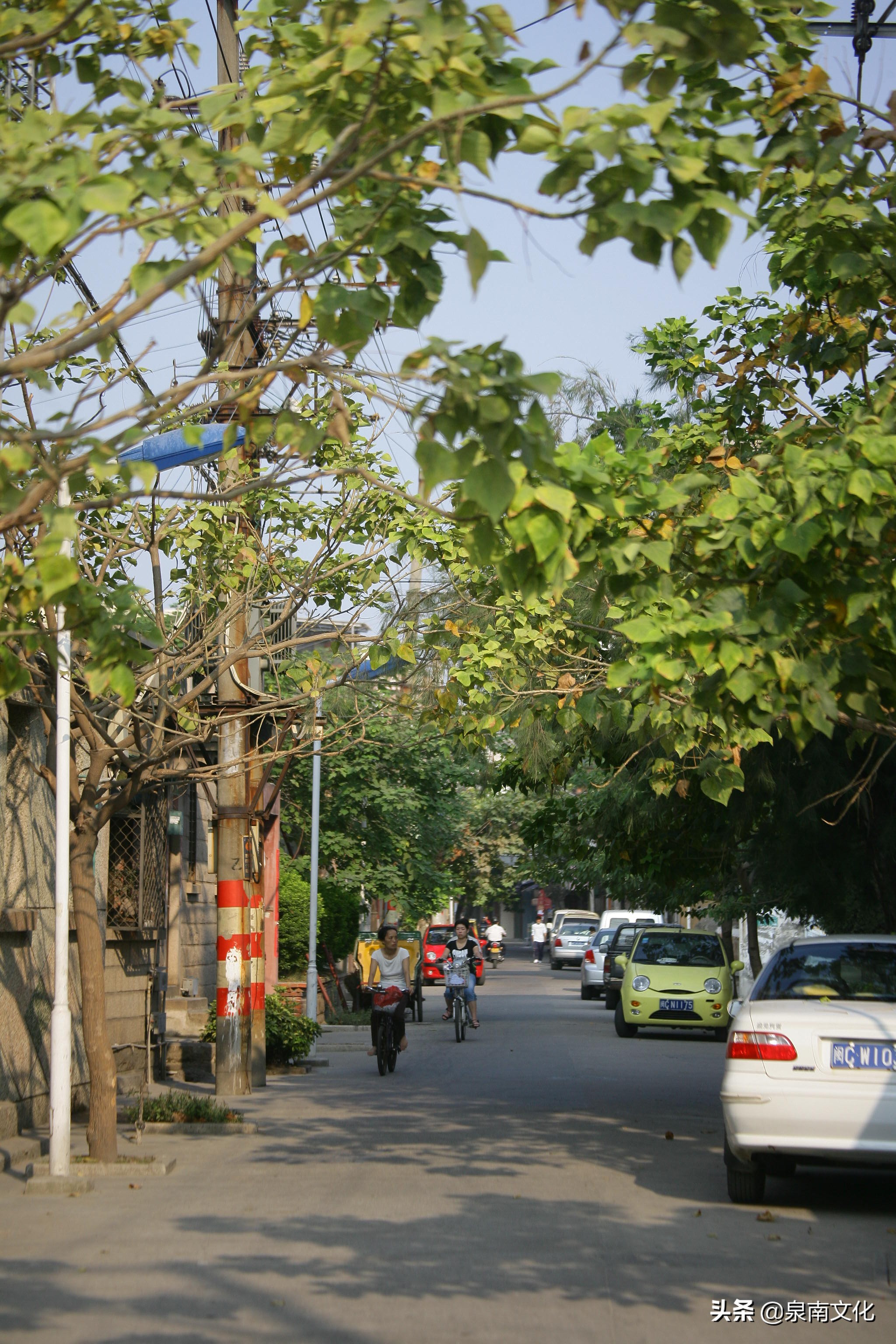 泉州中山路两侧巷道踏勘日记(三):奎霞巷、会通巷、通政巷等