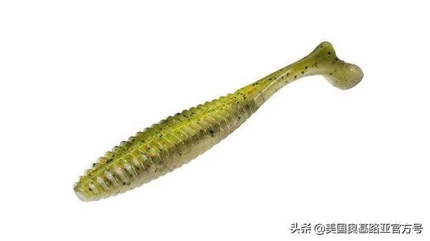 全国渔具展会2024时间表,全国渔具展2024