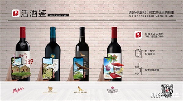 315假酒真假,十大假酒真假鉴别