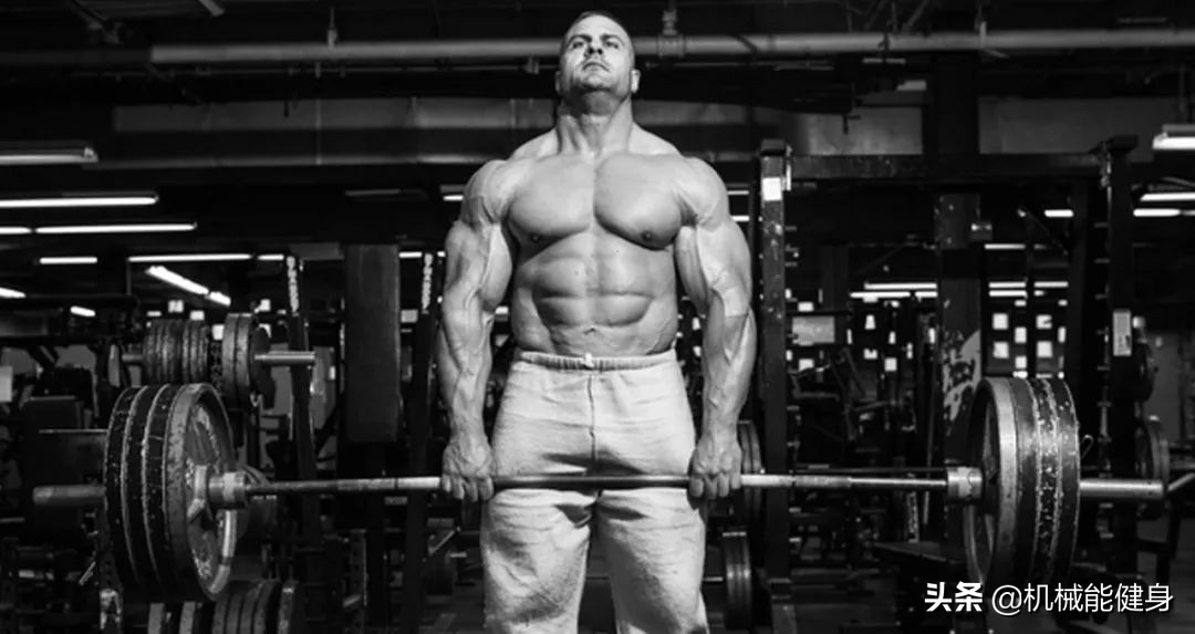 健身美背小背心一体式推荐,在健身房想练腿练哪些