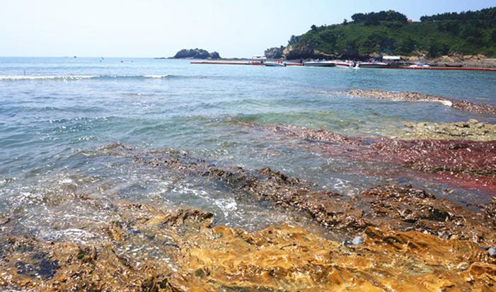 大连滨海路几月最美,大连最美季节