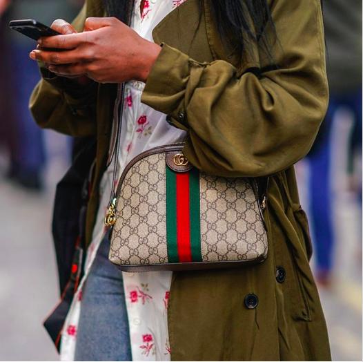 是谁动了我的奶酪,是谁动了猫咪的奶酪