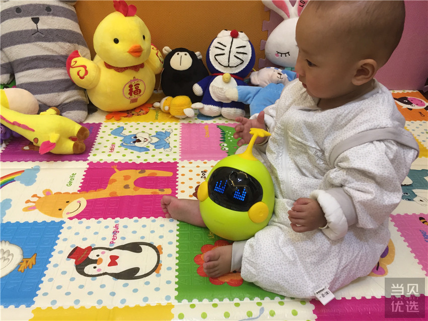 布丁迷你豆使用说明,迷你布丁豆