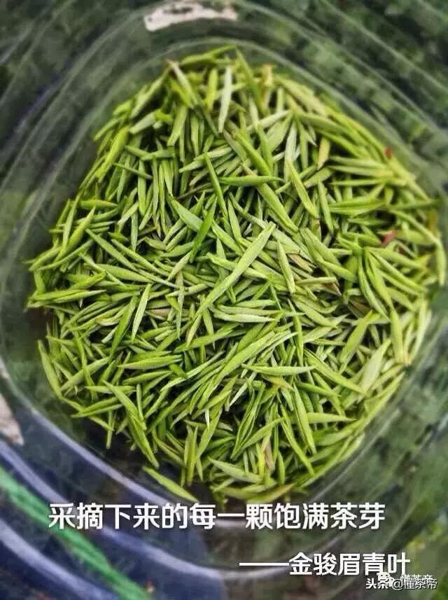 真正的金骏眉是什么样子的,你们喝金骏眉有没有感觉到有霉味